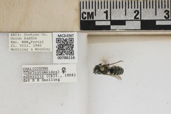 Media type: image;   Entomology 786116 Aspect: Labels